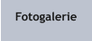 Fotogalerie